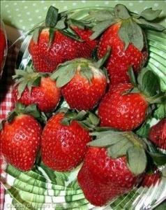 maasikas
