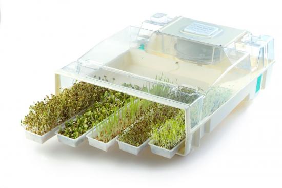 mikrofarm