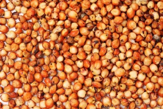 sorgo seemned