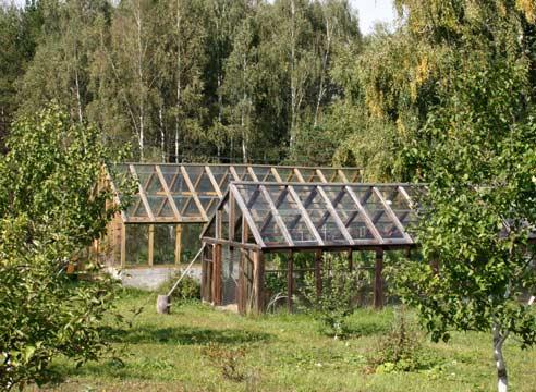 Kasvuhoone paigaldamine kardinaalsetele punktidele