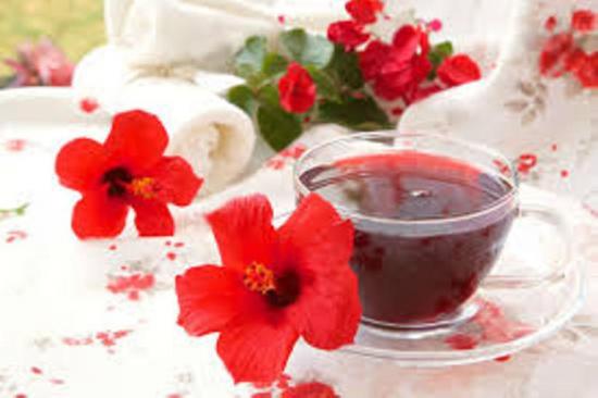 hibiski tee