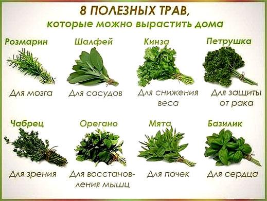 ประโยชน์ของสมุนไพร