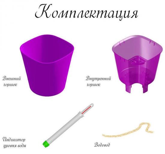 poti sisu