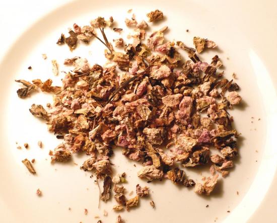 Rhodiola Rosea, złoty korzeń dla mężczyzn i kobiet