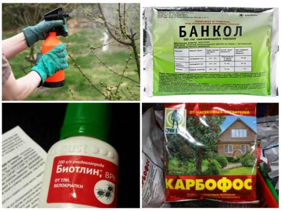 karbofos lehetäide vastu võitlemiseks