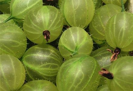 Karusmari