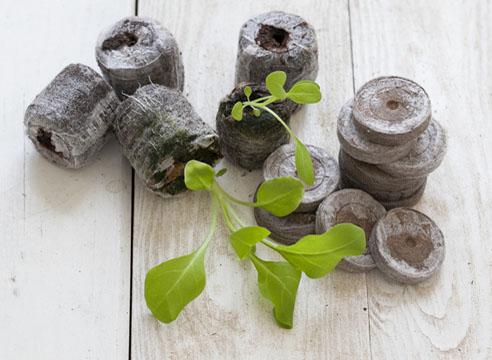 Turba tabletid