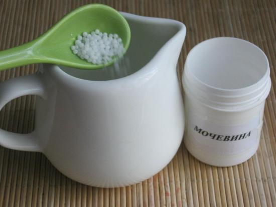 Karamiid (uurea)