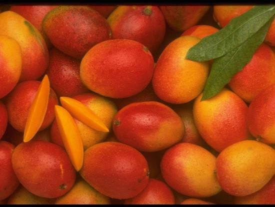 Mango puuvili