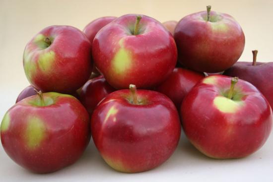 Apples Enterprise