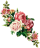 Kasutaja Lily profiilipilt