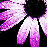 Kasutaja flower1575 profiilipilt